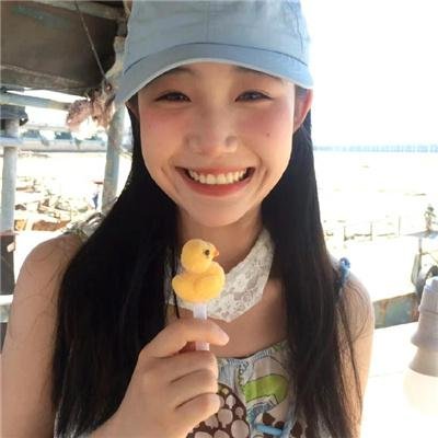 陆行鲨